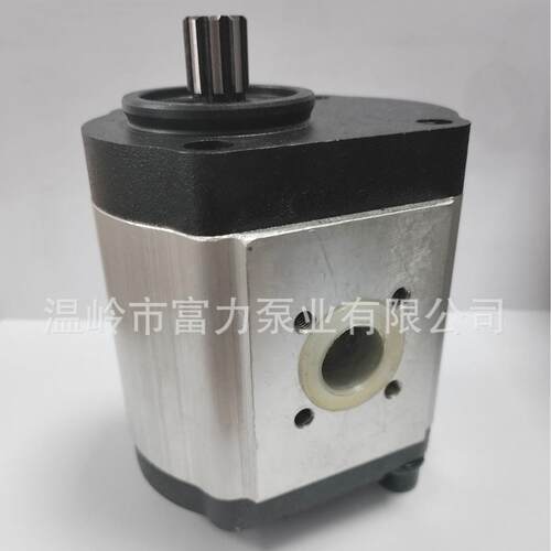弗格森 齿轮泵 液压泵Ferguson MF 7228132 72277154 24529950