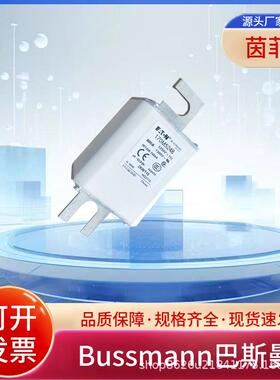 巴斯曼170M5244 170M5245 170M5246 170M5247 170M5248 170M5249