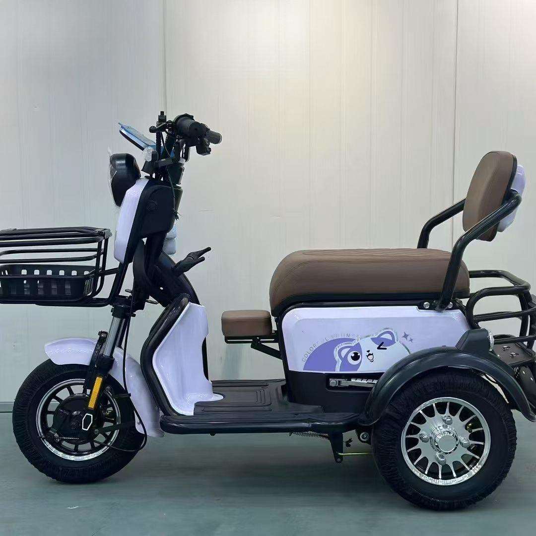 国标新款电动三轮车老年人代步日常接送孩子小型女士家用电三轮车