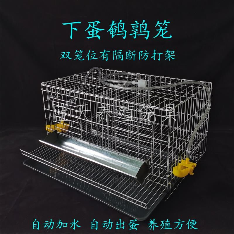 鹌鹑笼下蛋鹌鹑笼加粗大号双笼自动出蛋小型鹌鹑繁殖笼养殖捡蛋