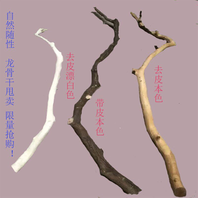 干树枝原木杈艺术k干枝枯枝枯木树干鸟架造型壁挂衣架吊顶树枝装