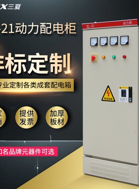 定做成套配电柜动力柜xl-21箱路灯照明双M电源控制一二级电表低压