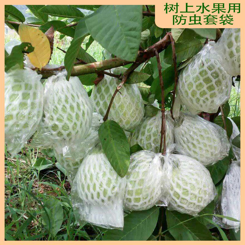 源头厂家水果网套包番石榴防虫袋芭乐网袋加O厚袋子包装袋一体套
