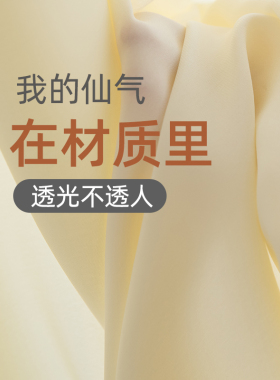 纱帘透光不透人阳台纱客厅卧室白色挂钩H式飘窗遮光帘窗纱白纱窗