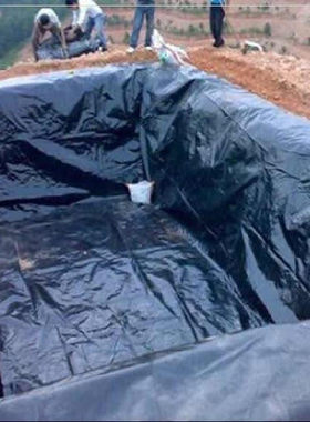 新品防水布c防渗膜土p工膜塑料膜加厚透明鱼塘黑色无滴膜地定