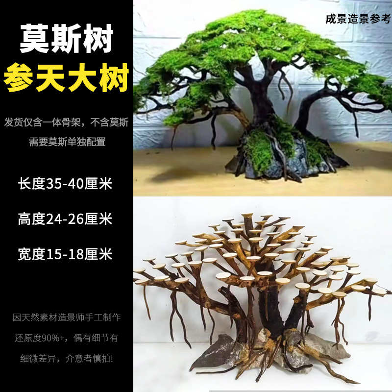 装饰水草摆件枝条天然鱼缸树枝成品骨架木沉造景草树迎客松莫斯缸