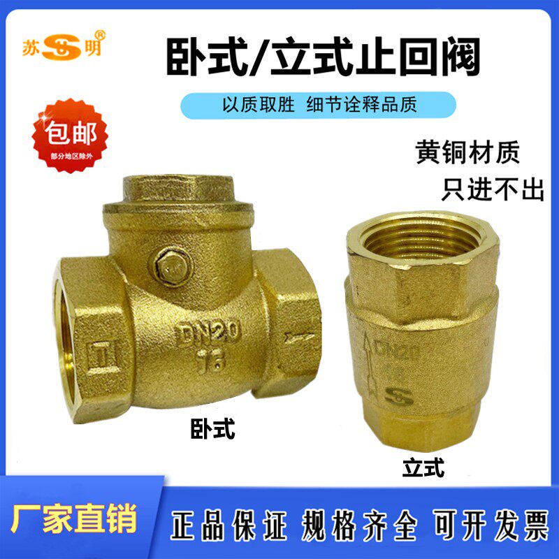 苏明加厚黄铜4分立式卧式止回阀洒水/浇水壶