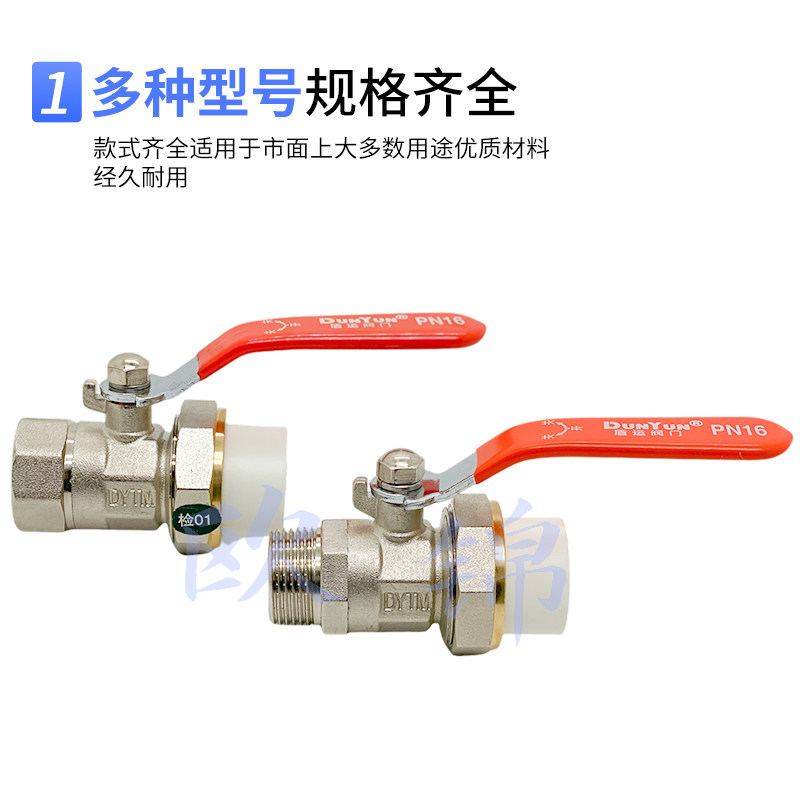 DYTM盾运铜球阀25PPR球阀6分内丝外丝活接外牙水阀铜阀门焊接热熔