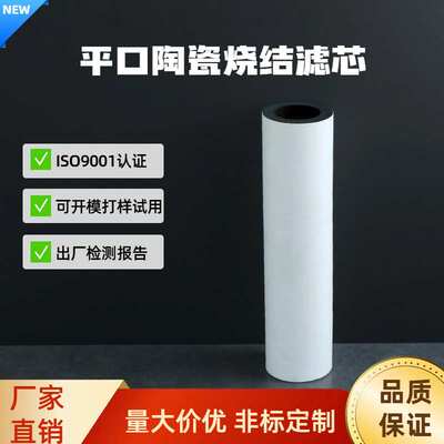 厂家直销10寸通用陶瓷滤芯平口反复使用滤芯耐用滤芯滤瓶专用滤芯