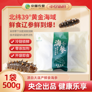 中国农垦大连海参滋补即食鲜食海参独立包装新鲜送礼营养12-16头