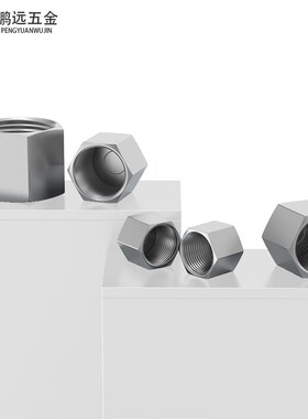 304不锈钢高压外六角内丝堵头管帽内螺纹管堵帽2346分1/2M20*1.5