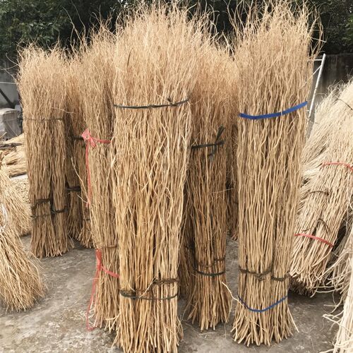 龙柳干枝a曲柳原木色树枝玄关隔断橱窗落地装饰干树枝拱门路引插