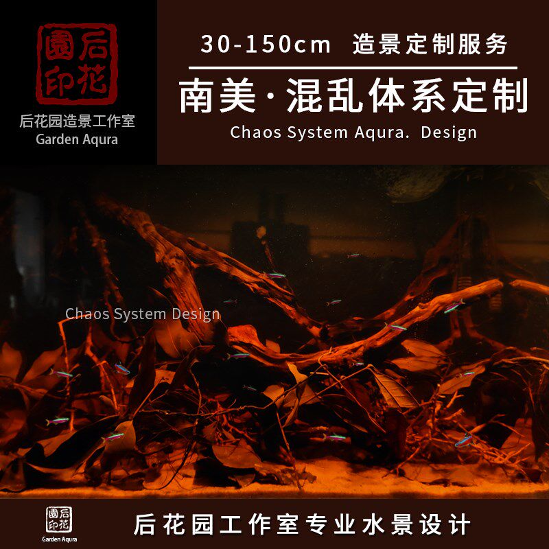 后花园水族南美混乱造景 南美y景 原生缸 原生缸定制 鱼缸沉木造