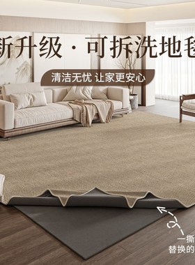 可机洗地毯客厅可拆洗水洗20x24新款简约纯色沙发茶几卧室家用地