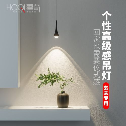 入户玄关吊灯高级感2025新款小B山丘氛围射灯电视墙极简可升降吊