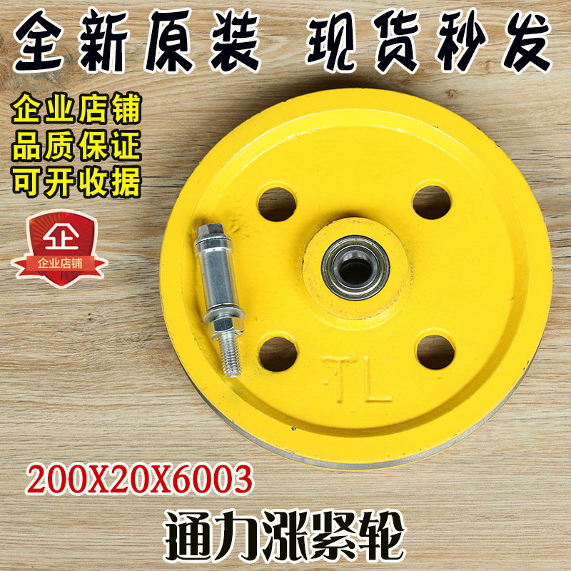 通力电梯限速器涨紧轮装置 r200*20*6003 奥的斯申菱底坑减速配件