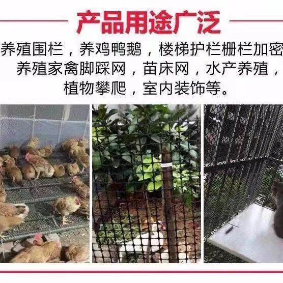 塑料网格防护网家米围鸭网养殖网养鸡栏鹅漏O粪网鱼塘护栏网玉用