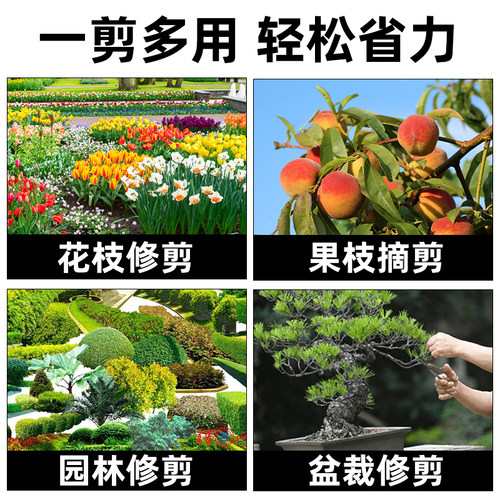 园艺剪刀修枝剪树枝专用剪刀园林修剪果树省力修枝花艺修花剪工具