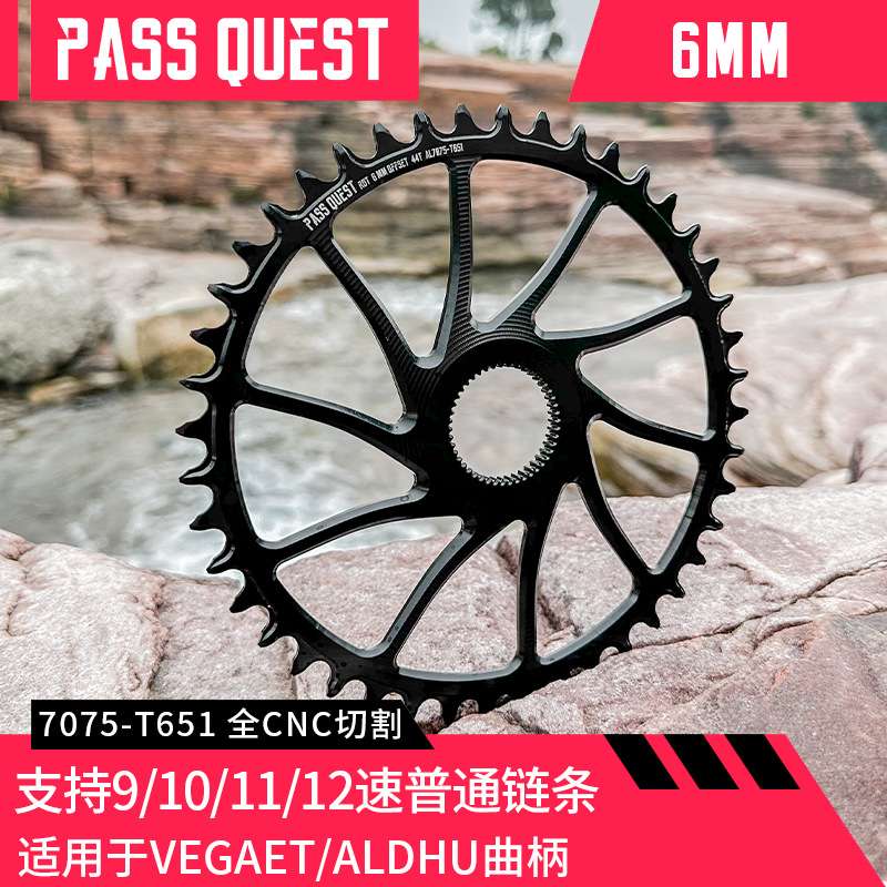 PASS QUEST 6mm Rotor曲柄 直装正负齿单盘Vegast Aldhu