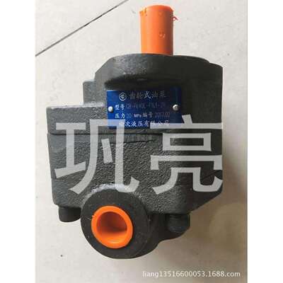 齿轮泵CB-FE32E-F1L1-2R.CB-FE40E-F1L1-2R
