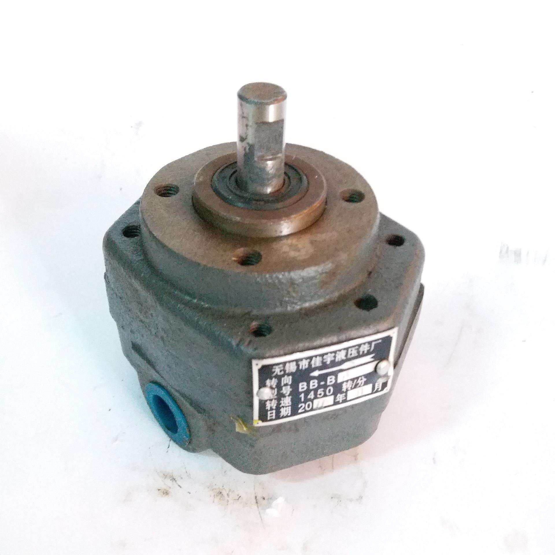 送料机 机床BB-B10齿轮泵 边立式多齿轮泵 容积式内啮合齿轮油泵,鲜花速递/花卉仿真/绿植园艺,割草机/草坪机,淘宝优惠券,粉丝福利购,淘宝优惠卷