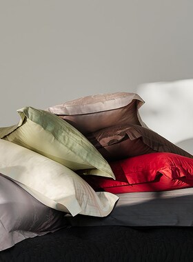 100S全棉贡缎枕套 丝滑高级感提花纯棉F48*74单人长方形信封式一