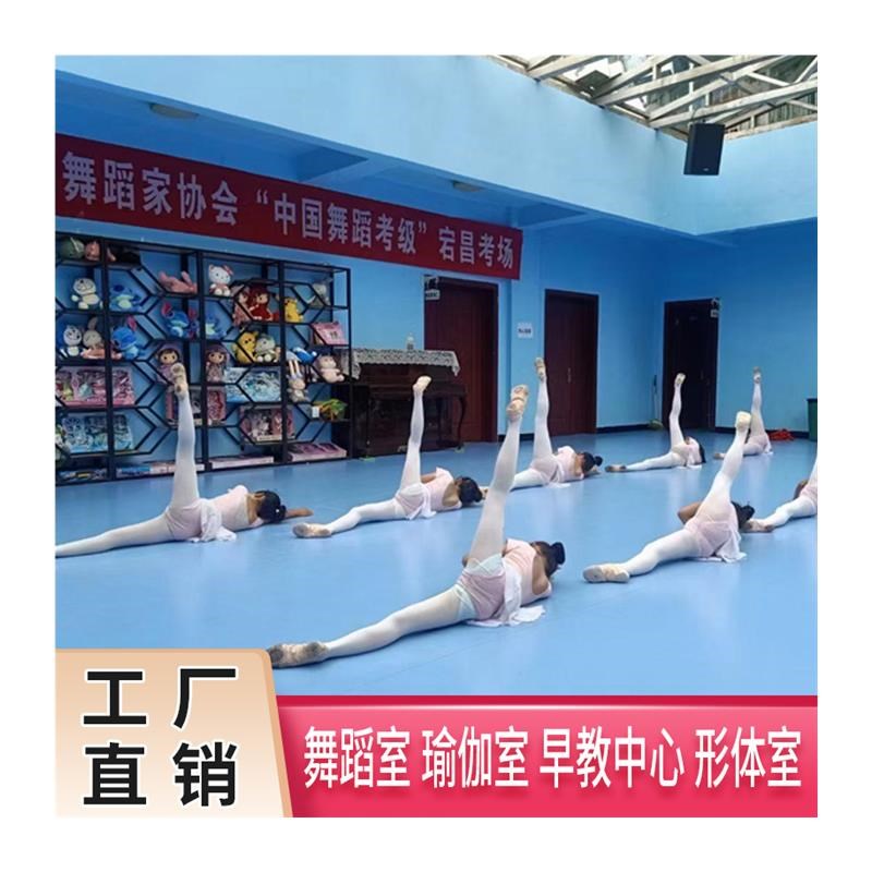 街舞地垫教室防滑幼儿园运动塑胶地板舞蹈房室内舞蹈地胶