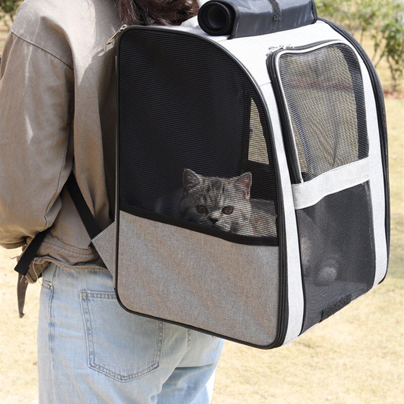 背猫包外出便携大容量装两只透气可折叠帆布宠物包狗狗猫咪双肩包