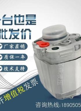 上海大众SDH双联齿轮泵CBTs-F310/F312/F314/F316/F320/F325油泵