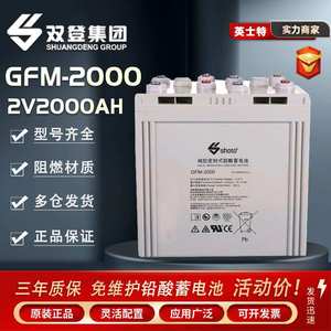 双登GFM-2000铅酸蓄电池2V2000AH机房基站电厂直流屏船舶储能电瓶