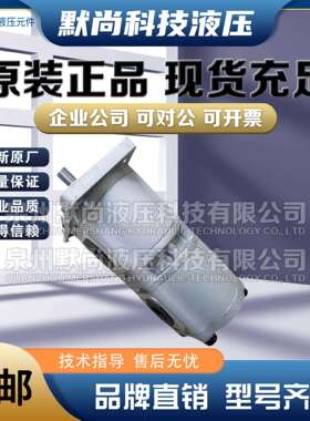 合肥皖液齿轮泵CBQL-E563/F550 E550/F540 F540/F532-A 双联油泵