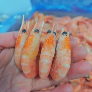 格陵兰北极甜虾头籽北极虾冰虾冷冻水产带籽鲜活速冻商用腹籽