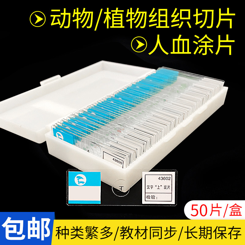 生物切片永久装片人血涂片人体四大组织字母e上字初中考高中神经/
