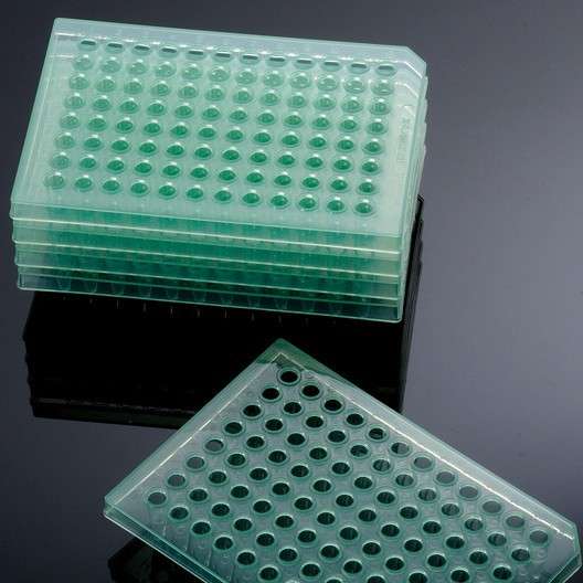 巴罗克0.2mlPCR板 96孔板 非灭菌；无裙边 透明/白色