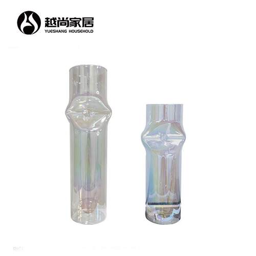 北欧轻奢透明玻璃花瓶花器家居摆件客厅轻奢玄关干花装饰品
