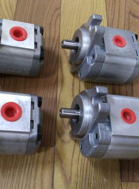 齿轮泵0D925DC52钰盟G9R2HONOR90 09BFR00BF9DE5BF9叶片泵现货 R0