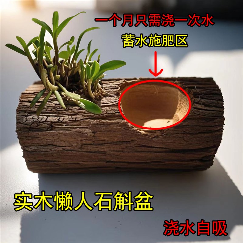 懒人石斛花盆 h自吸花盆 木槽石斛花盆 杉木松木木质原木花盆 木