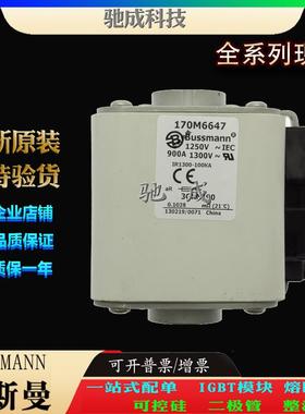 巴斯曼170M6653 170M6658 170M6659 厂家原装厂价直供 快速保险丝