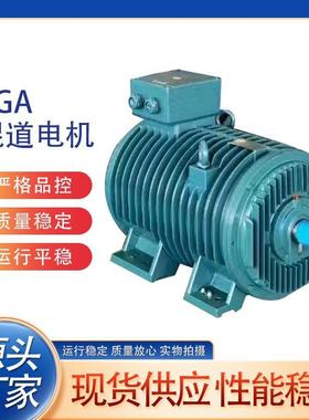 YGA辊道电机YGA YGB YGP系列按要求定 制三相异步电动机辊道电机