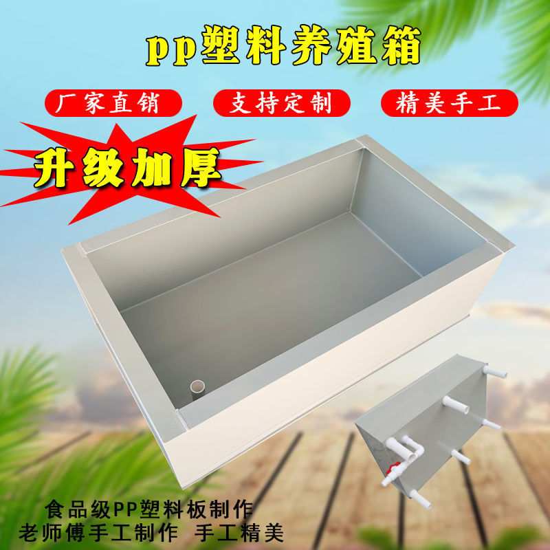 加厚PP塑料板仿生态养殖龟箱储水箱养龟池龟缸陆龟龟苗箱鱼箱钉做