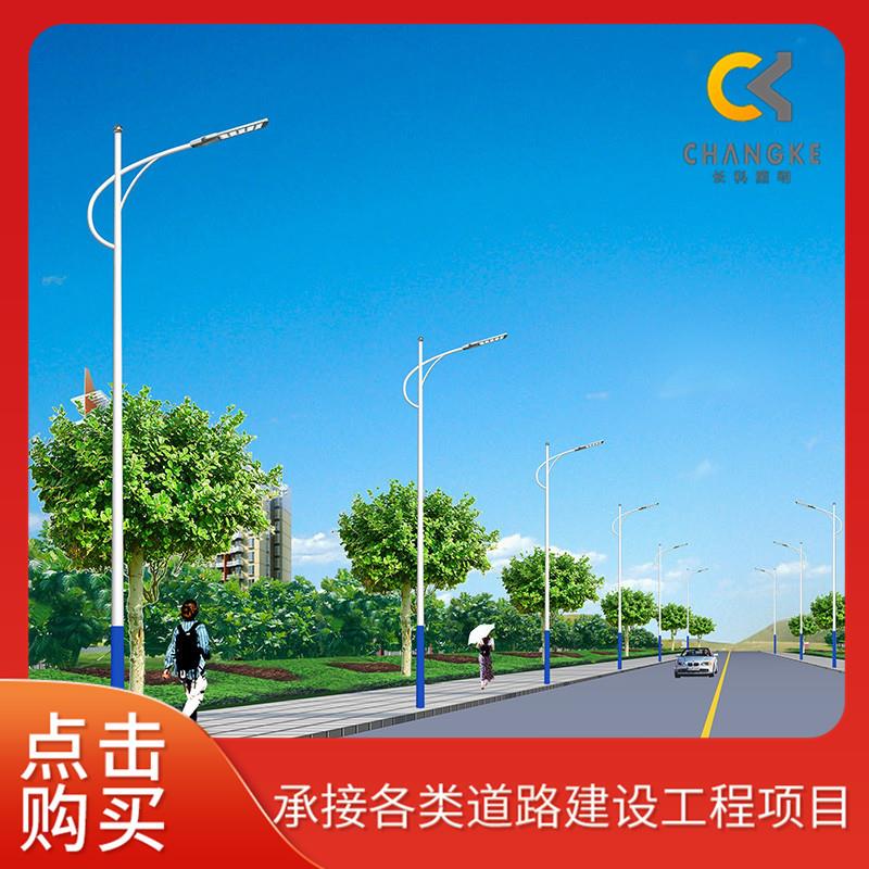 LED户外市电路灯厂家新农村道路灯8米10米高亮度LED道路照明灯
