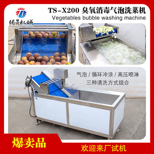 现货供应臭氧气泡式西红柿清洗机 可加工 水果清洗机厂家
