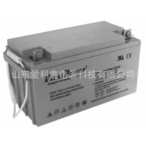 FirstPower一电蓄电池12v65ah LFP1265电瓶 UPS外接电池