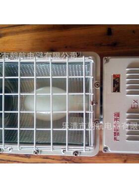 隔爆型泛光灯 BAT52 250W 400W 1000W 方型投光灯 BAD5031/5032.