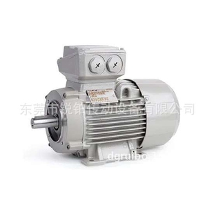 Rotor电动机荷兰原装 5RN90L  6RN100L铸铁铝壳IE1 IE2 IE3马达