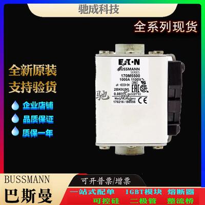 巴斯曼170M5588 170M5589 170M5590 加工制作零售 快熔保险丝