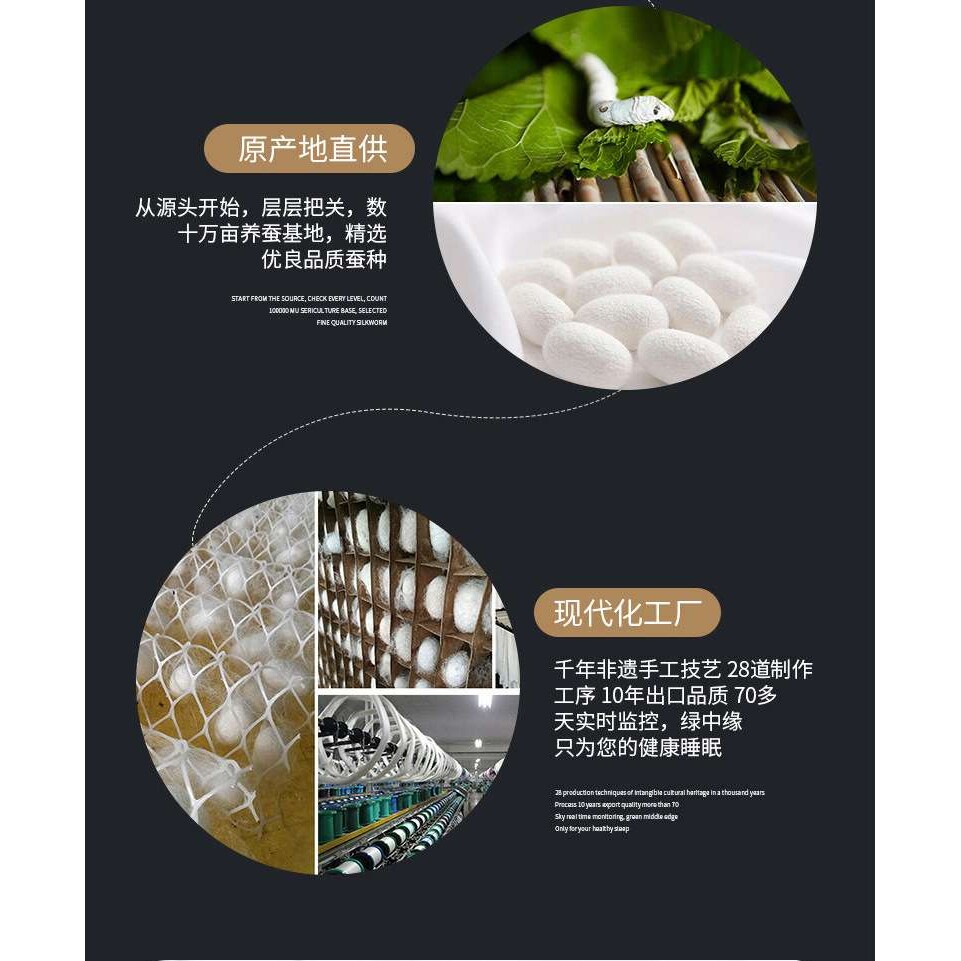 丝被桑蚕丝春秋被全棉加厚10斤冬被手工夏凉被子母被