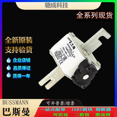 巴斯曼170M5314 170M5315 170M5316 厂家原装优价供应 原装熔断器