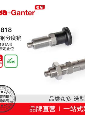 Elesa Ganter伊莉莎冈特 GN 818 不锈钢分度销 AISI 316