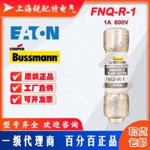 FNQ-R-1 延时保险丝 600V 1A 10X38 巴斯曼BUSSMANN熔断器